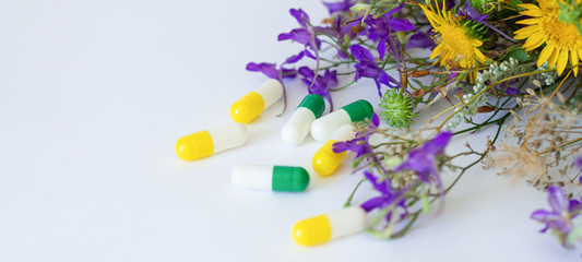 Vaidhnath Ayurveda