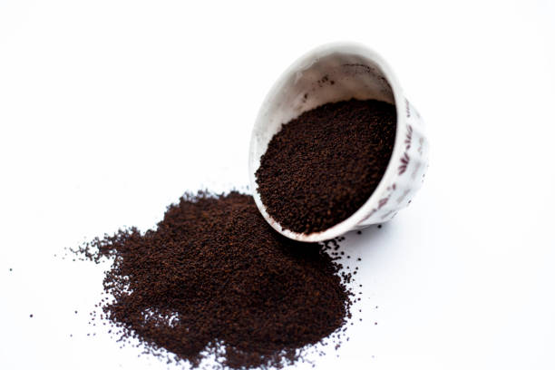SYMEN FOODS & SERVICES INDIA PRIVATE LIMITED