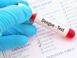 Dengue NS1 antigen