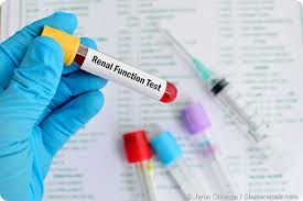 Renal (Kidney) Function Test