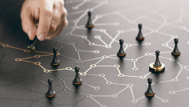 Business Consultancy