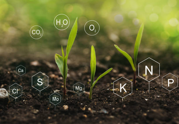 Agricultural Chemicals