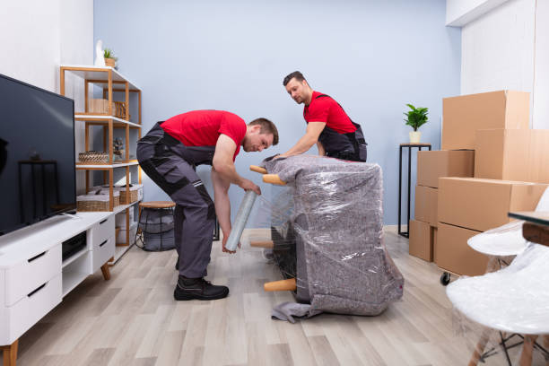 Domestic Packers Movers